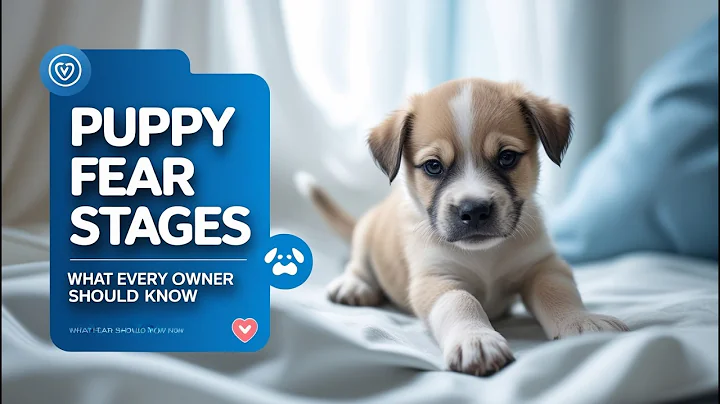 Understanding Puppy Fear Stages 🐶 | Crucial Development Periods Every Dog Owner Should Know