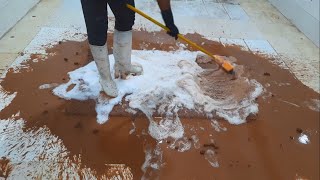 Washing with a plastic shovel on the carpet full of animal urine and mud on the carpet