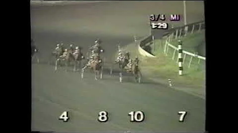 1992 Garden State Park LADY STARLET Mike Lachance ...