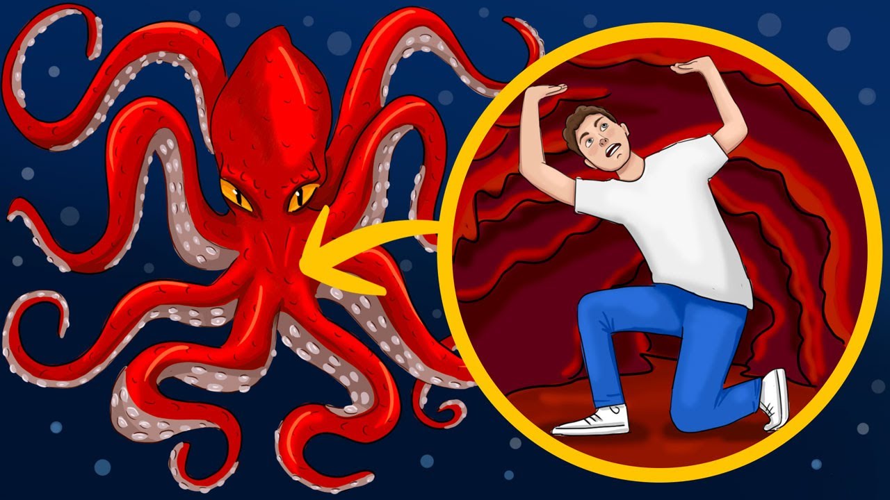 E Se o Kraken Engolisse Você Inteiro?