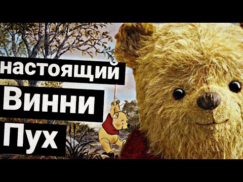 "ВИННИ ПУХ" - ИСТИННЫЙ СМЫСЛ МУЛЬТФИЛЬМА!