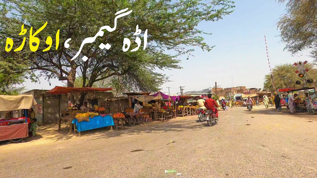 Adda Gamber in 2025 | Okara Pakistan | گیمبر اڈہ ، ضلع اوکاڑہ