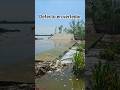 Spill Defect Lagodetexcoco Spill Defect Lagodetexcoco
