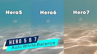 Gopro Hero5 Hero6 Hero7 Underwater Auto White Balance Comparison Gopro Tip 644 Micbergsma Youtube
