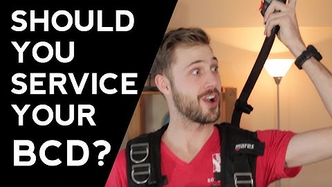 Should You Service Your BCD? | Quick Scuba Tips