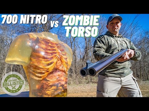 700 NITRO vs ZOMBIE TORSO 🧟‍♂️ (World’s Biggest Elephant Gun)