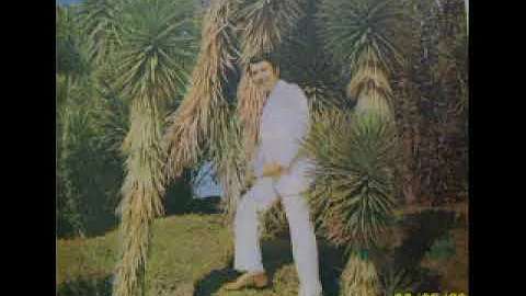 CARLOS ALMENAR OTERO  TERESA