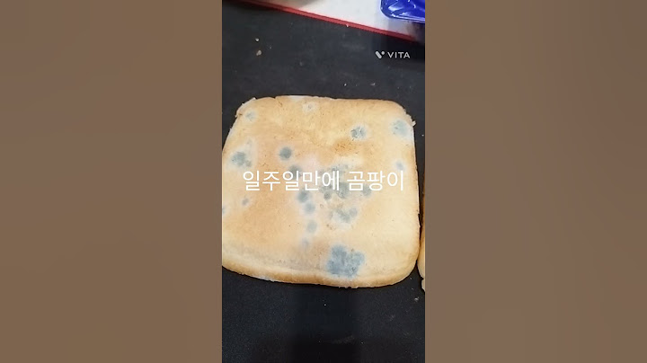 뉴질랜드 방부제 없는 빵을 상온에서 일주일 놔두면? #뉴질랜드 #오클랜드 #newzealand #뉴질랜드음식