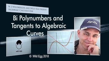 Bi Polynumbers and Tangents to Algebraic Curves | Algebraic Calculus One | Wild Egg