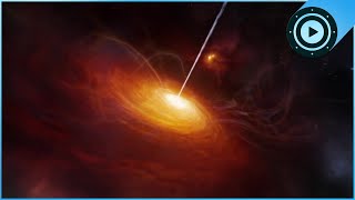 GRACE, GRAIL and LISA: Gravity Maps Earth, Moon and Black Holes
