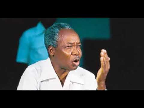 IKULU PANA BIASHARA GANI NA BABA WA TAIFA MWALIMU JULIUS KAMBARAGE NYERERE