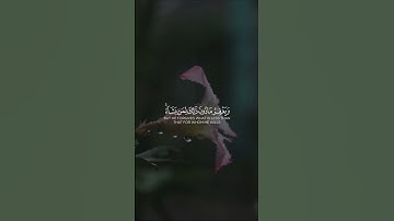 #ياسر_الدوسري #تلاوات #آيات #القرآن_الكريم #قرآن #قران_كريم #قران #ترند #القرآن #قرآن_كريم #quran