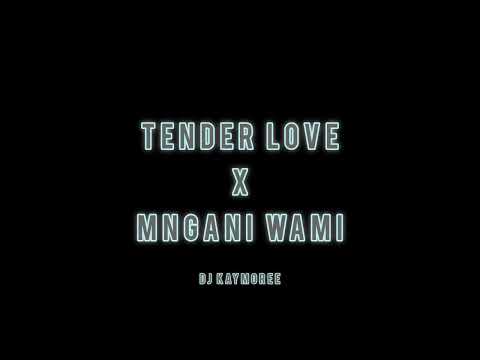 Dj Kaymoree - Tender Love (ShaSha) x Mngani Wami (JayJay) Full Remix