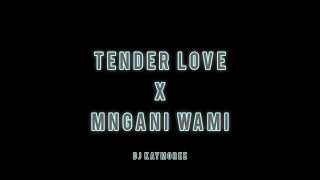 Dj Kaymoree  Tender Love shasha X Mngani Wami jayjay  Remix