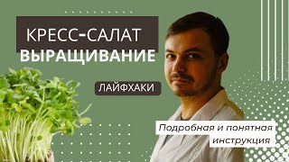 видео: Кресс-салат Особенности технологии выращивания | Народные Семена картинка: Кресс-салат Особенности технологии выращивания | Народные Семена