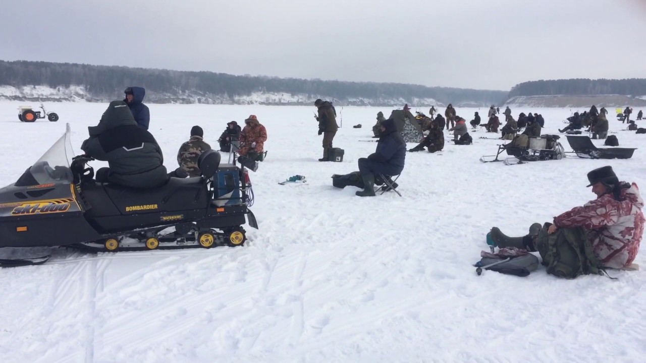 Рыбалка в Морозово (итог) - YouTube