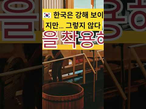 🇰🇷 한국은 강해 보이지만… 그렇지 않다 #항공우주 #문화충격 #뉴스 #브라질