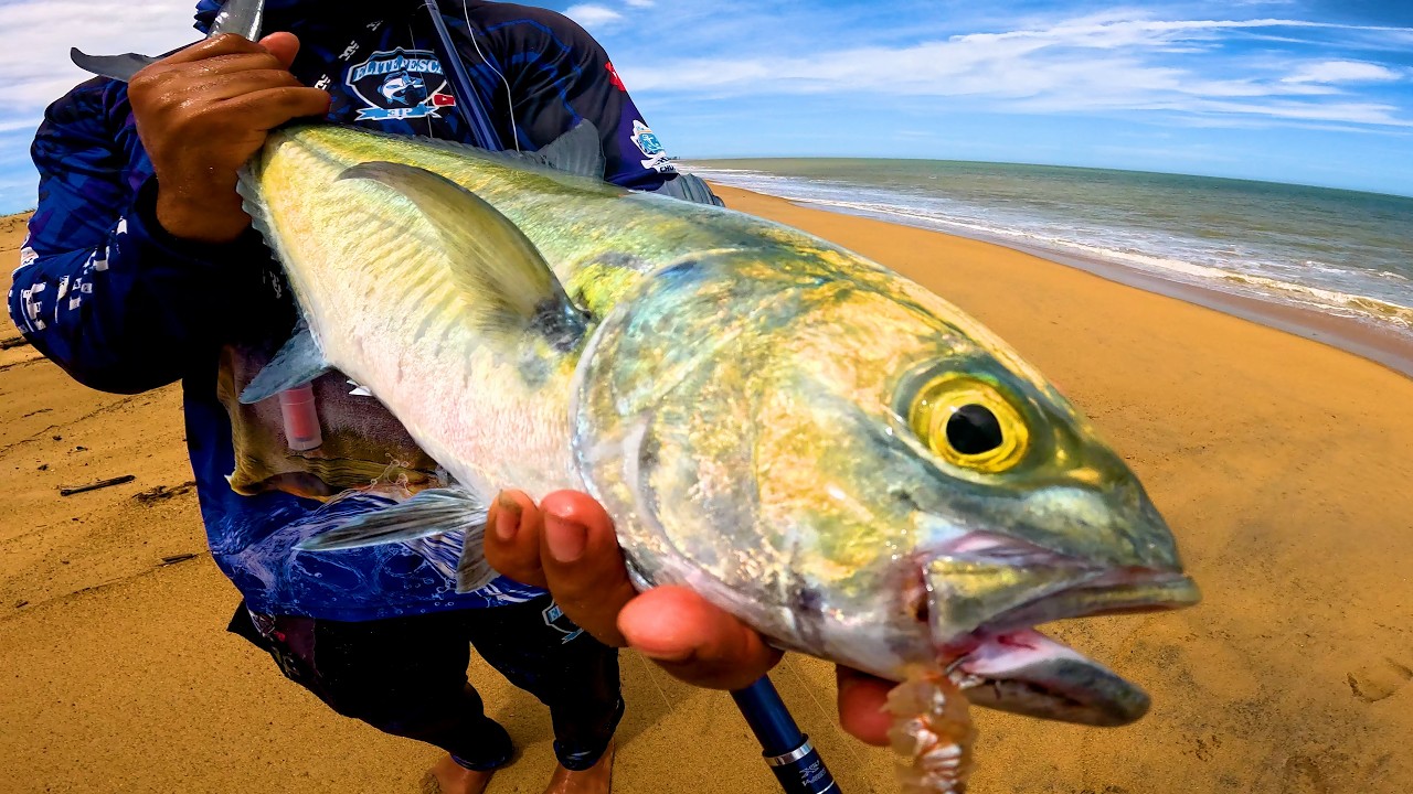 MAIS UM NOVO RECORD BATIDO , Peguei o MAIOR xinxarro da minha  vida na pesca de praia