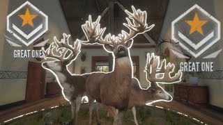 HUNTING MY 3RD GREAT ONE!! THE HUDDLE GREAT ONE MULTI MOUNT IS COMPLETE! THE HUNTER CALL OF THE WILD