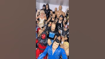 Stone Cold Steve Austin #wwe #allwrestlingfigures #wrestler #wrestlingfigures #wwewrestler #toys