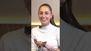 A ver, ¿qué tanto conocen de la termodinámica? 🐶🐈 🐾