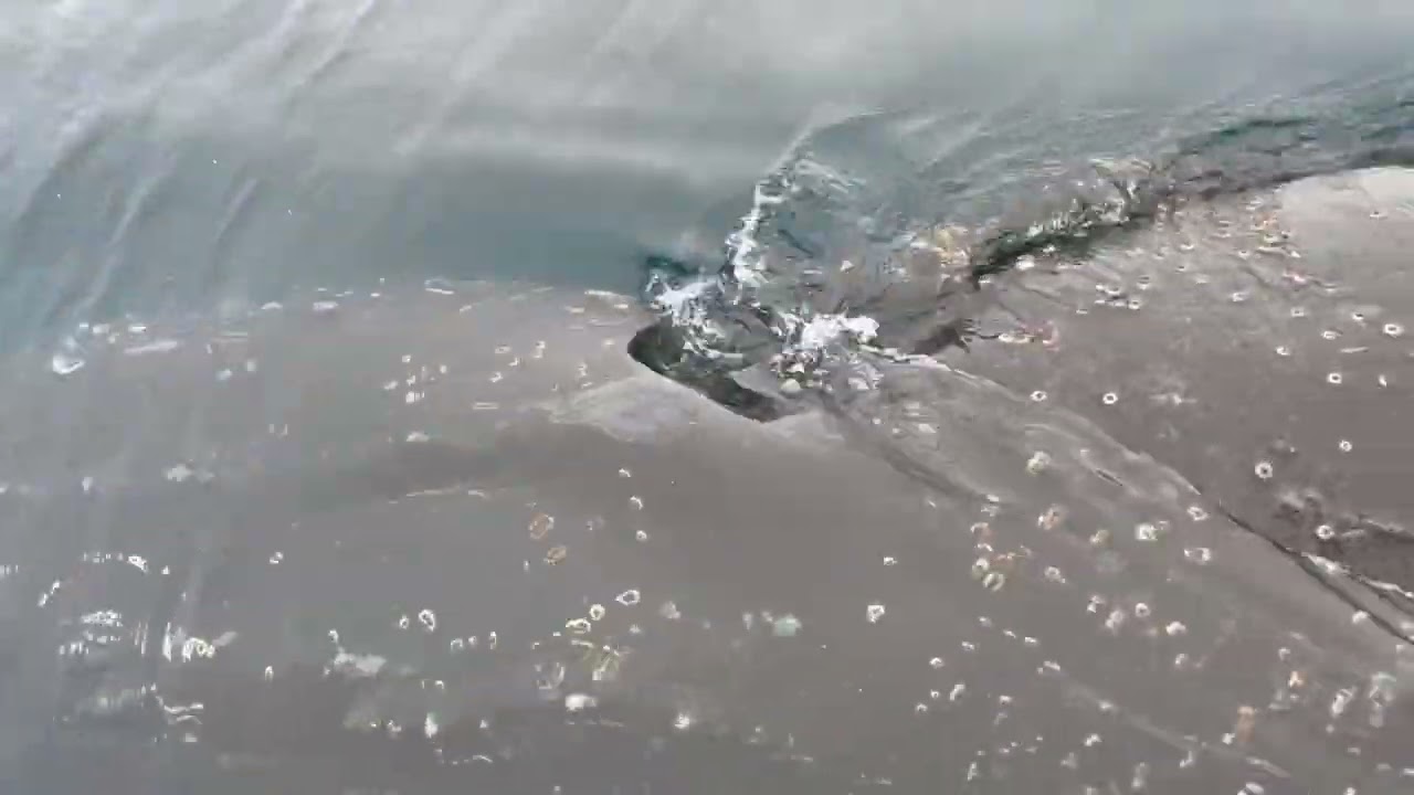 Kayaking with whales in Antarctica