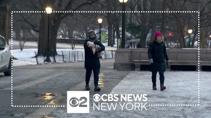 Sanitation Crews Already Treating A Snowy Central Park