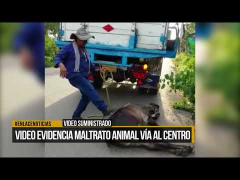 Vídeo evidencia maltrato animal vía al Centro