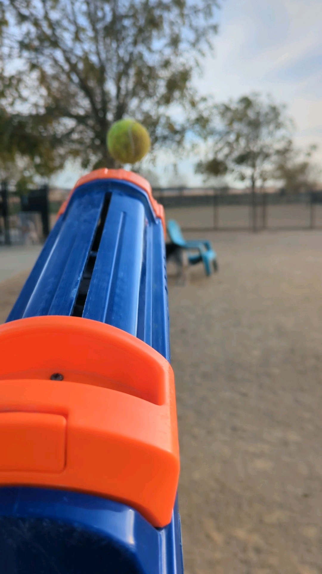 NERF tennis ball launcher for dogs