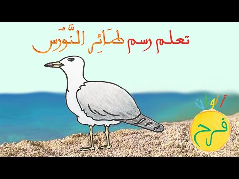 فيديو: كيفية رسم طائر النورس
