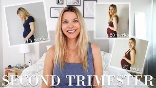 MY SECOND TRIMESTER | pregnancy weeks 14-27