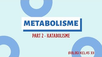 Katabolisme Youtube