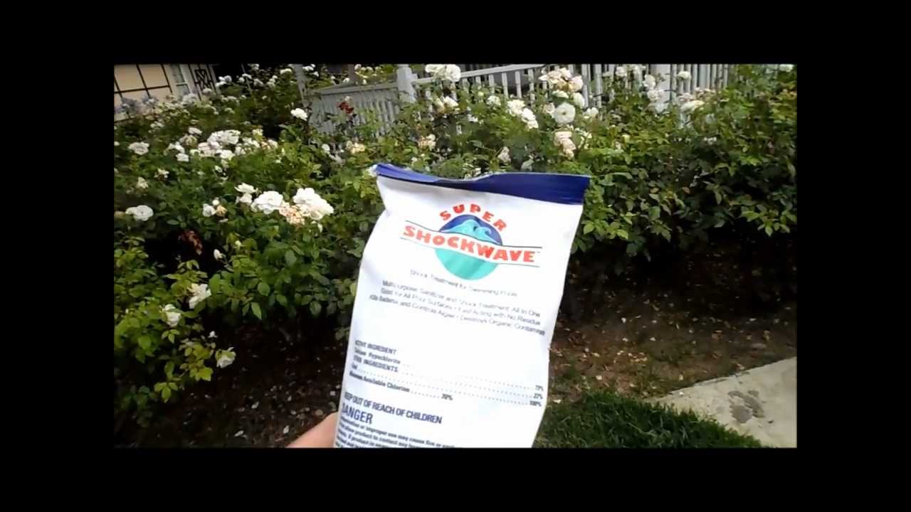 Pool Shock, Cal Hypo - YouTube