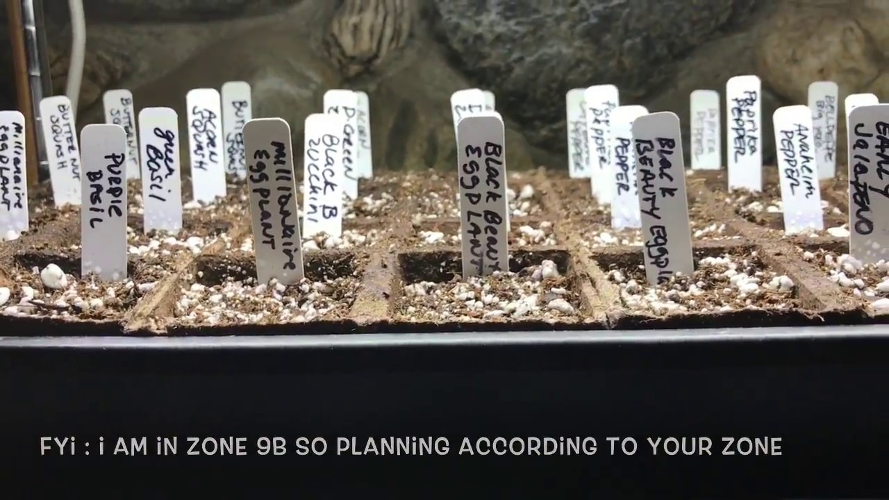 How To Plant Seeds, Start Your Vegetable Garden Early Grow Lights