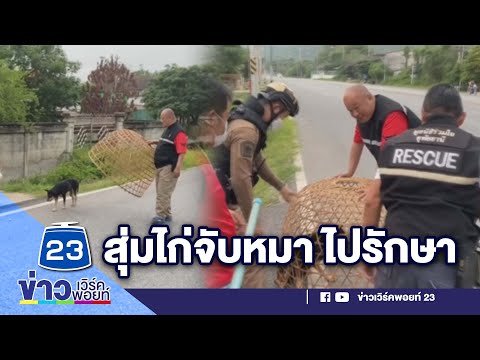 ผลสลากกินแบ่งรัฐบาล วันที่ 1 พย. 2567