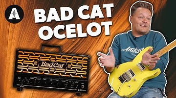Bad Cat Ocelot - Is It MEEEoooww or Meh!?