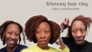 February Hair Vlog| Hair reverting and maintaining elasticity | Informal Cecred Review