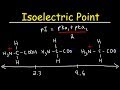 Comment calculer le point isolectrique des acides amins et des zwitterions