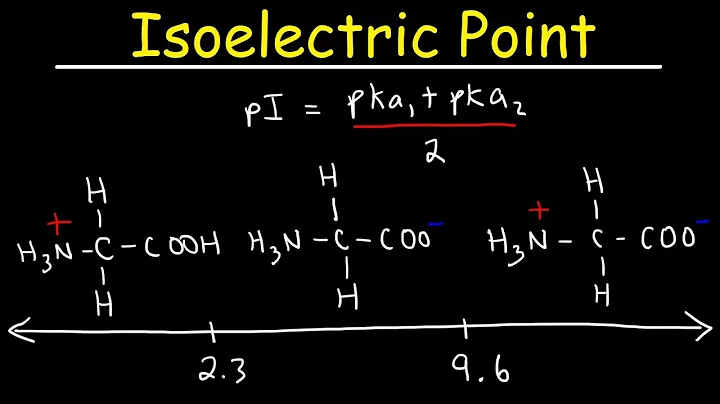How To Calculate The Isoelectric Point of Amino Acids and Zwitterions