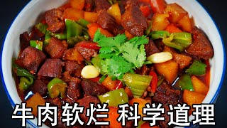 红烧牛肉怎么做软烂入味炖牛肉不柴的科学道理控制温度和火候是关键大厨教你土豆焖牛肉好吃的四个技巧炖牛肉的香料有哪些?#红烧牛肉#红烧牛肉#土豆烧牛肉#土豆烧牛腩#焖牛肉#焖牛腩#牛肉的做法#牛肉