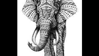 Video Elephant In The Room (instrumental) download MP3, 3GP, MP4, WEBM, AVI, FLV Agustus 2018 Video Elephant In The Room (instrumental) download MP3, 3GP, MP4, WEBM, AVI, FLV Agustus 2018