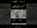 داوود شعبان يا طيور الوادي