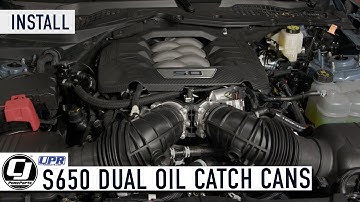 Protect Your 2024 Mustang