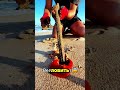 Гигантский червь выходит из песка 😳🪱 #shorts