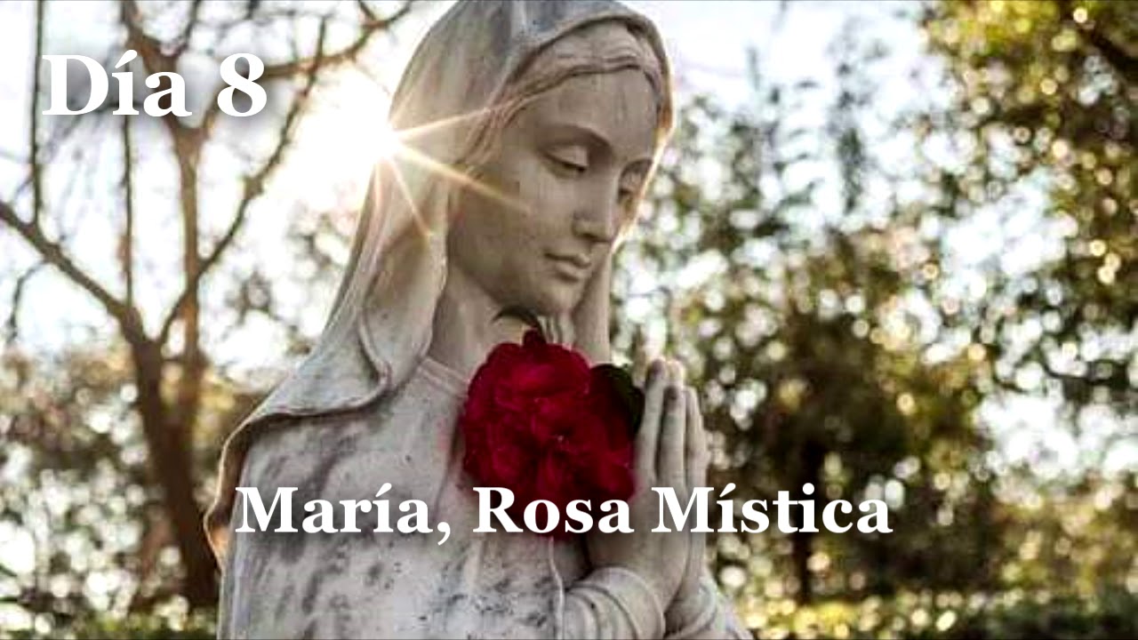 DÍA 08 , ROSA MÍSTICA - YouTube