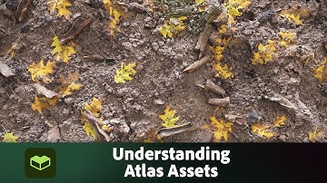 Understanding Substance 3D Atlas Assets | Adobe Substance 3D