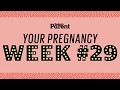 Your pregnancy: 29 weeks