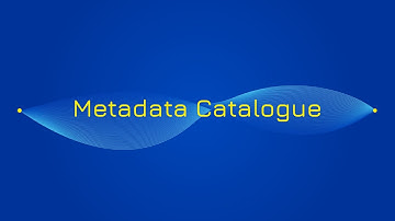 Metadata Catalogue tutorial: Unified access to AI assets
