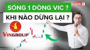 SÓNG 1 DÒNG VINGROUP, KHI NÀO DỪNG LẠI ? | Tú Lê