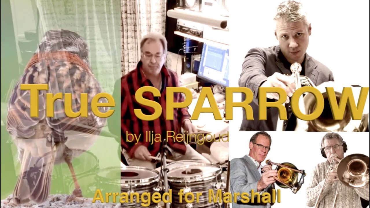 Ben van Dijk - bass trombone TRUE SPARROW with Marshall Gilkes and Ilja Reijngoud